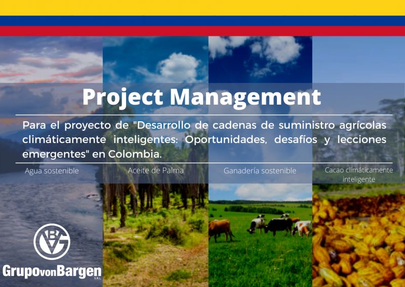 Apoyo al Proyecto desarrollo de cadenas de suministro agrícolas - Colombia